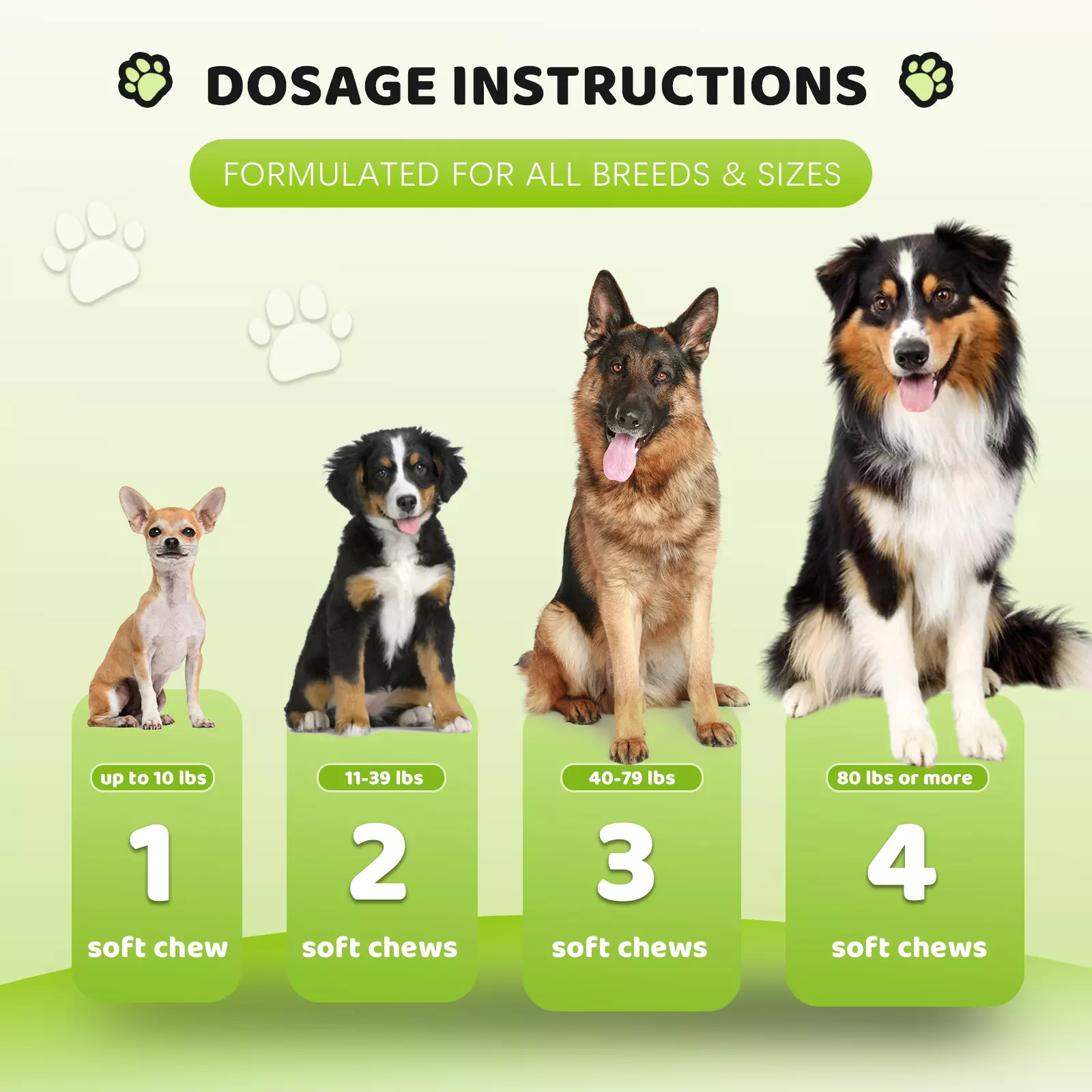 Salmon-Flavoured Flea & Tick Chews – Natural Defence for Cats & Dogs - Image 3