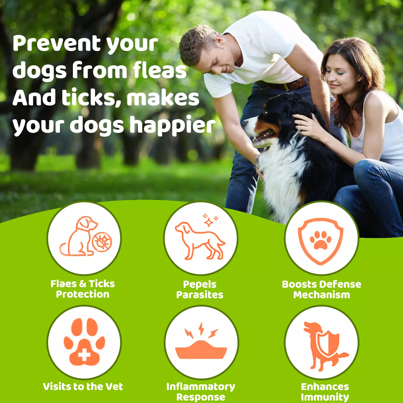Salmon-Flavoured Flea & Tick Chews – Natural Defence for Cats & Dogs - Image 4