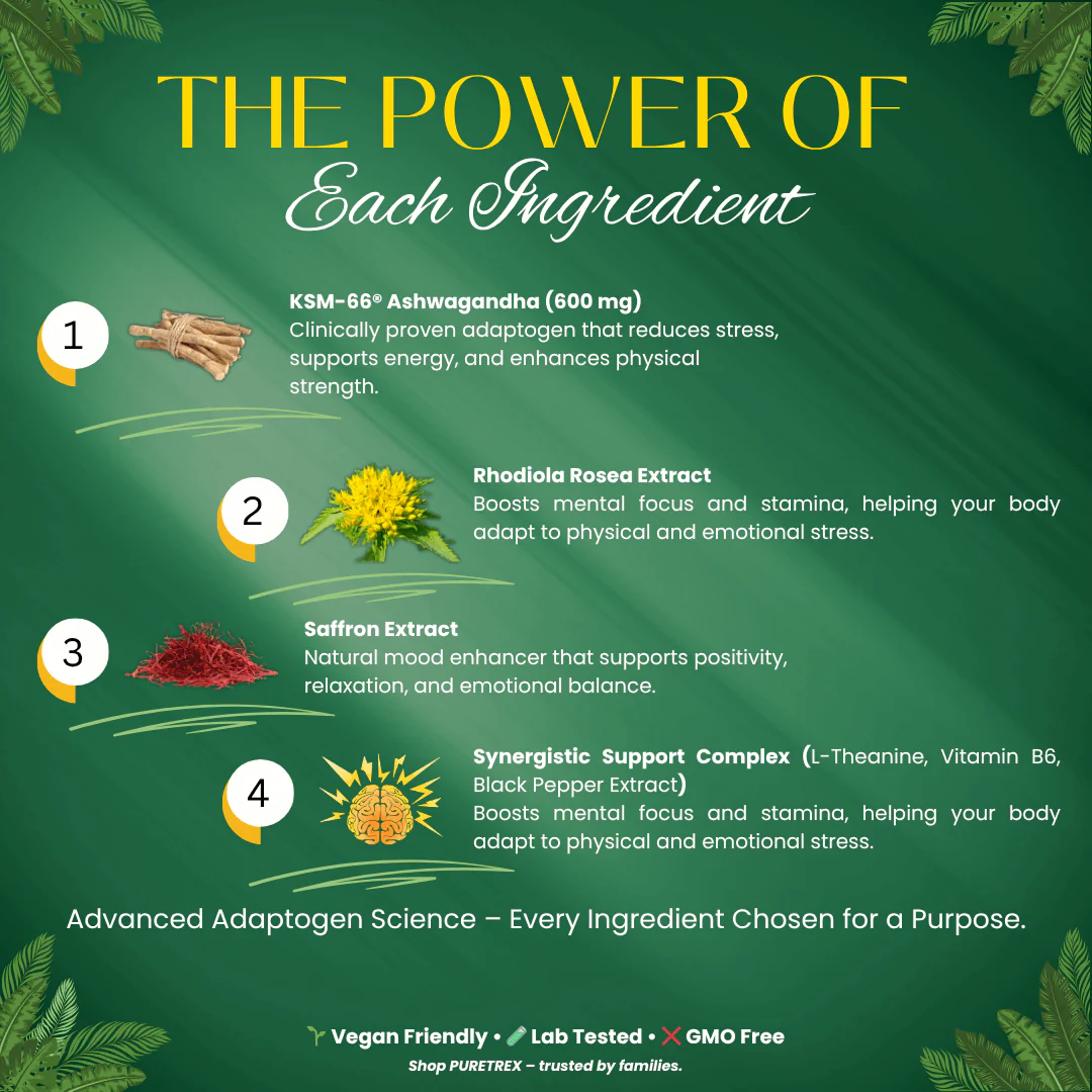 Ashwagandha KSM-66® Elite Formula – 7200mg Root Equivalent Adaptogen Complex - Image 3