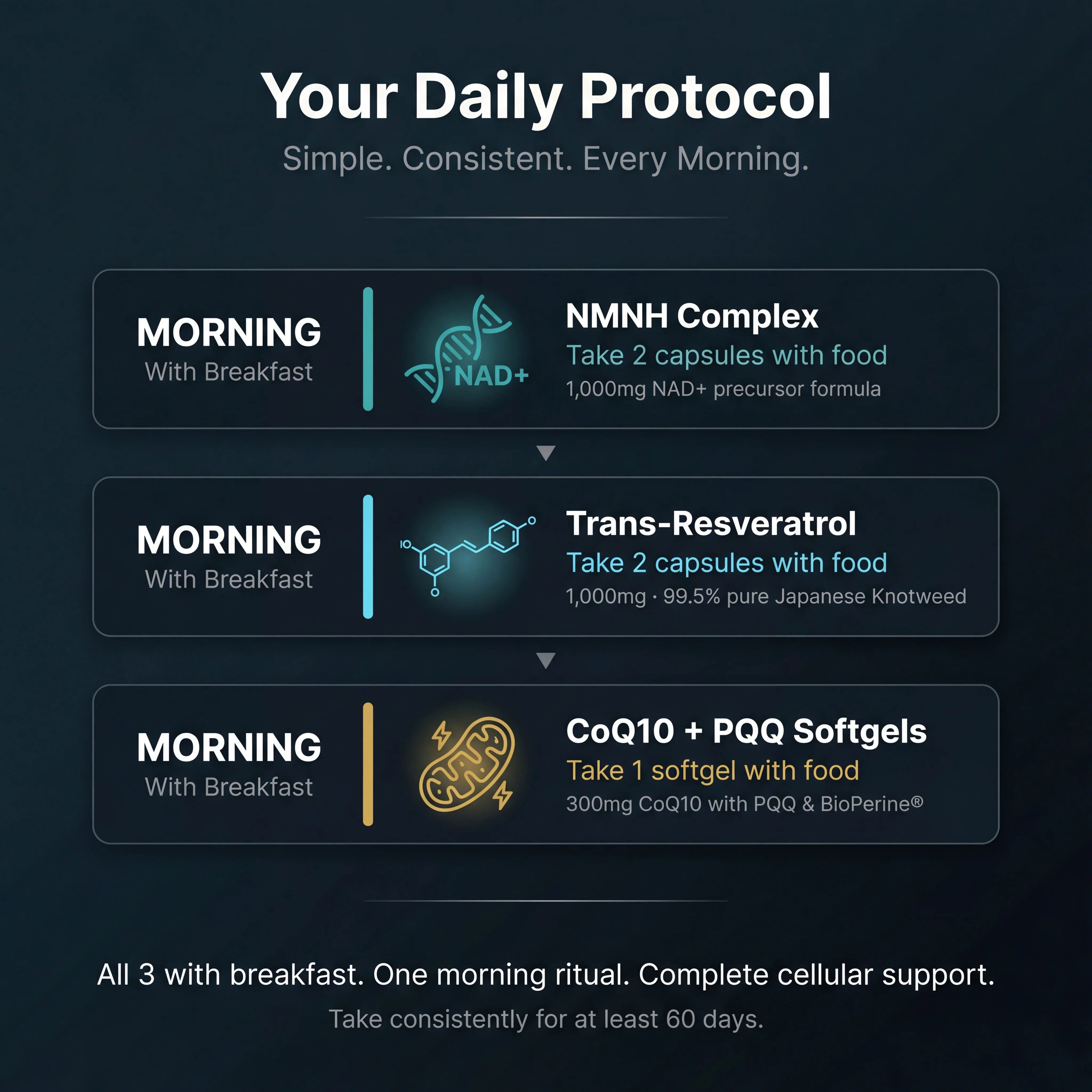 The Cellular Fountain Stack | Cellular Health & Antioxidant Support Bundle - Image 4