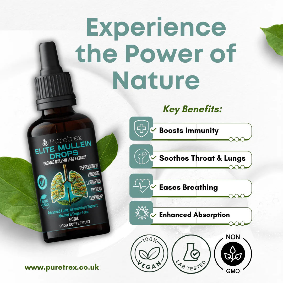 Elite Mullein Drops – Elderberry, Lungwort & Thyme Herbal Formula - Image 4