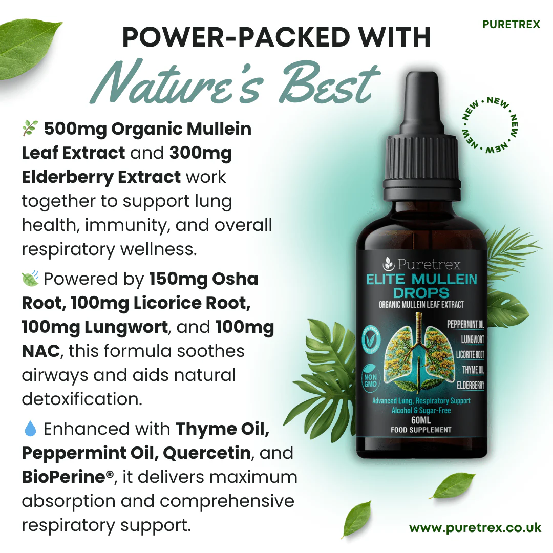 Elite Mullein Drops – Elderberry, Lungwort & Thyme Herbal Formula - Image 5
