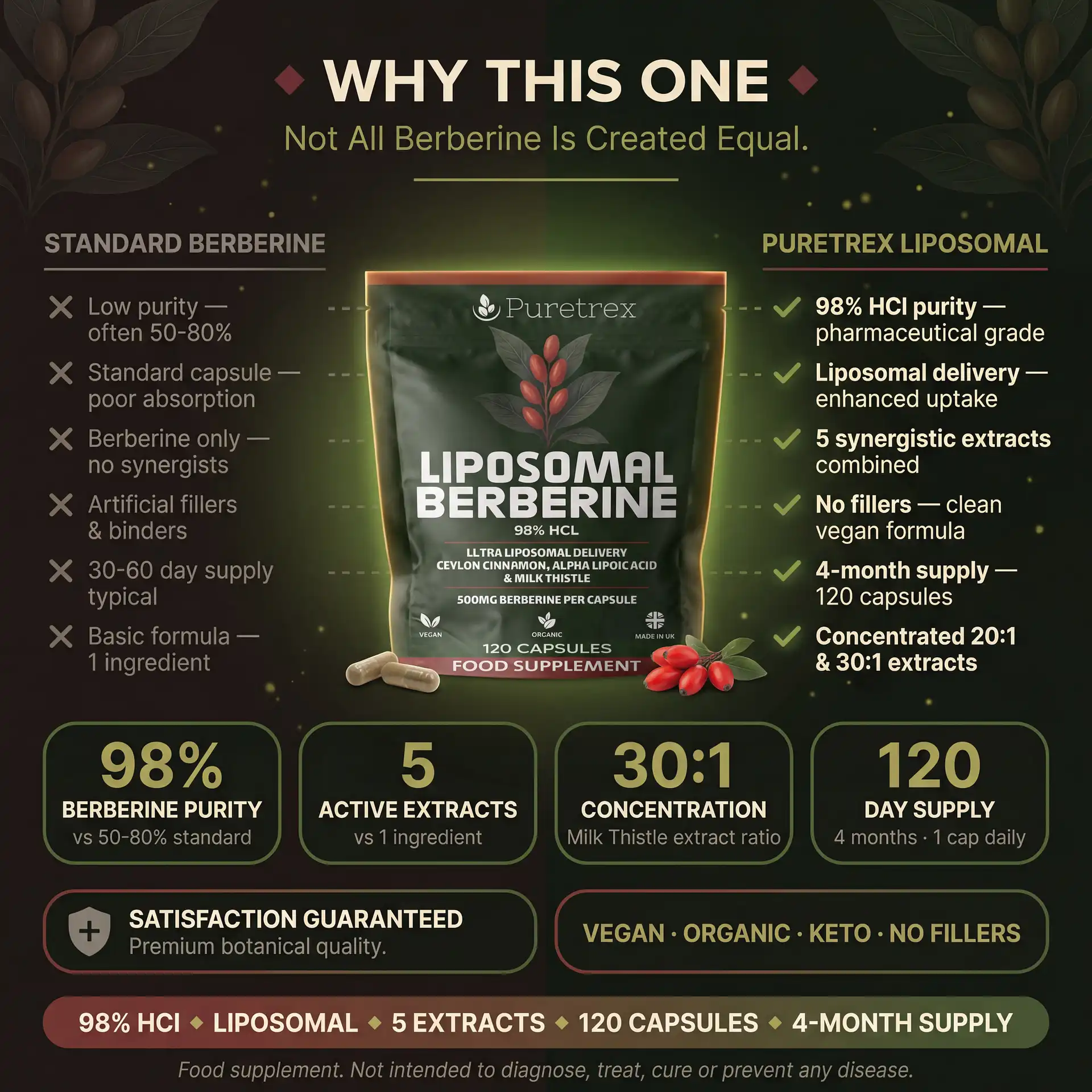Liposomal Berberine 500mg – Ceylon Cinnamon, ALA & Milk Thistle - Image 4