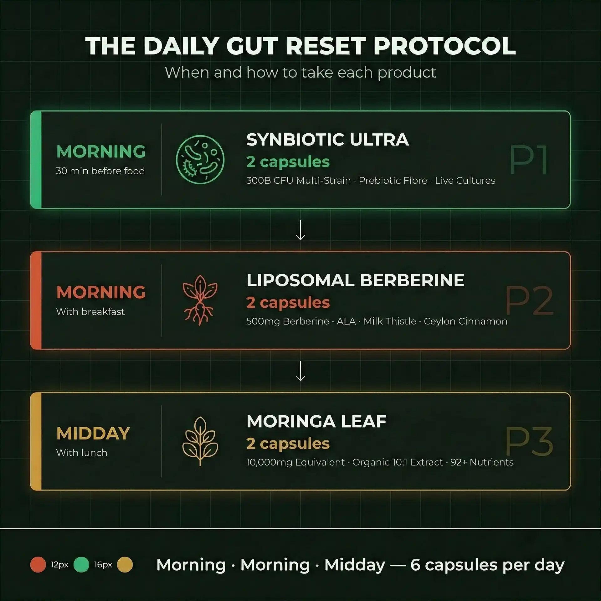 The Gut Reset Stack | Probiotic Bundle for Digestive Health & Bloating Support - Image 4